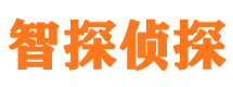 桦川侦探公司